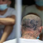 F.B.I. Captures MS-13 Leader of East Coast in Major Gang Bust