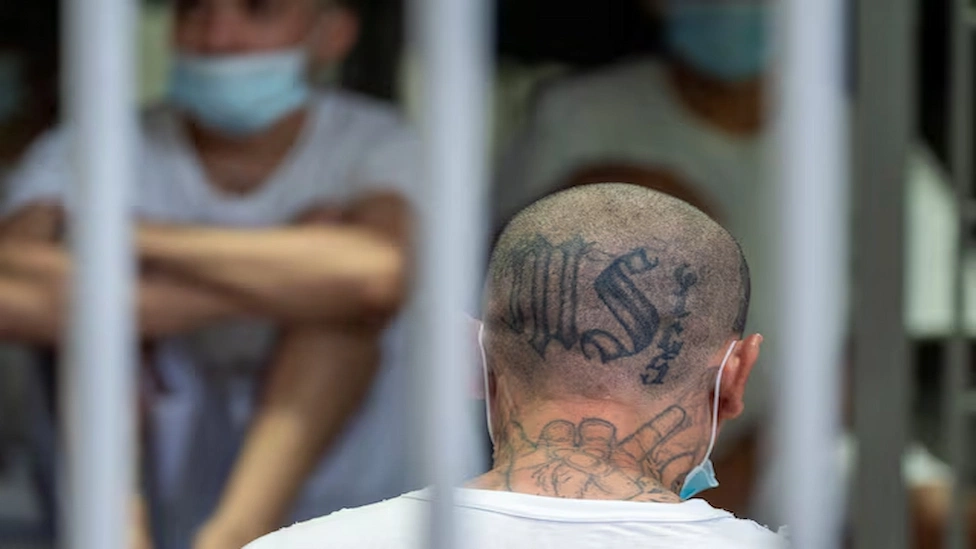 F.B.I. Captures MS-13 Leader of East Coast in Major Gang Bust