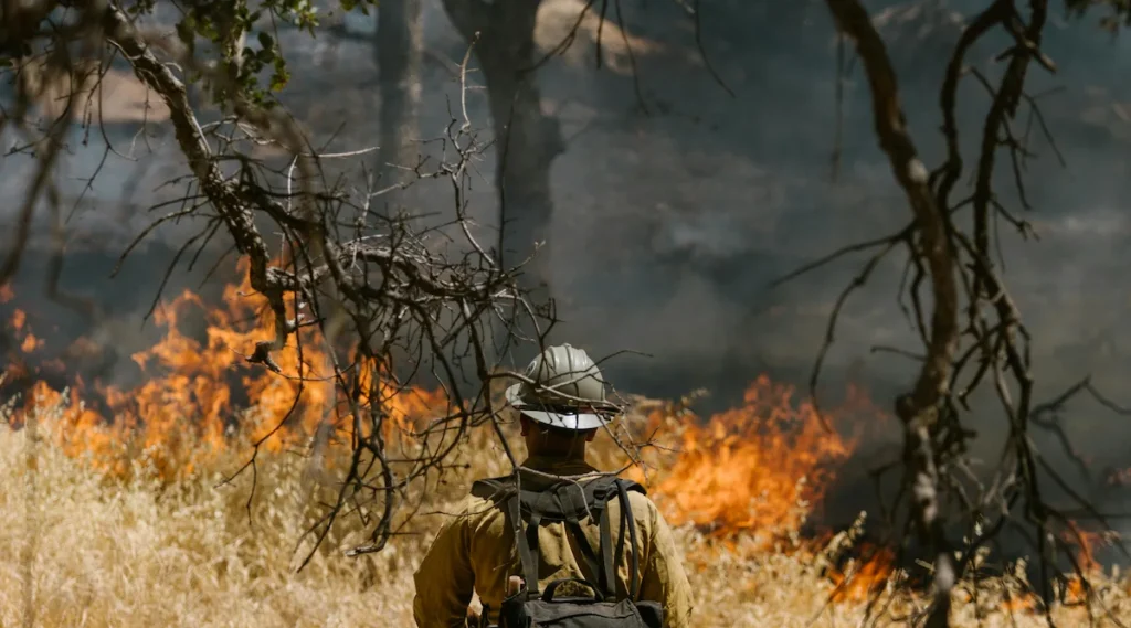South Korea Wildfire Helicopter Crash Pilot Killed in Uiseong Disaster Amid Worst Blazes on Record