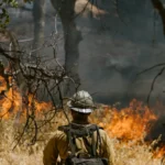 South Korea Wildfire Helicopter Crash Pilot Killed in Uiseong Disaster Amid Worst Blazes on Record