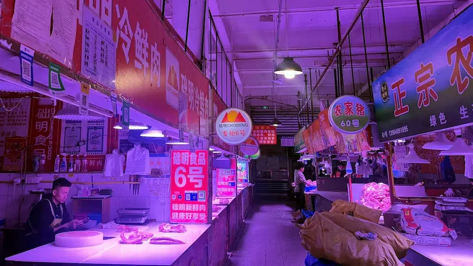 China Bankruptcy Risks for Foreign Investors Exposed in Murky Cases